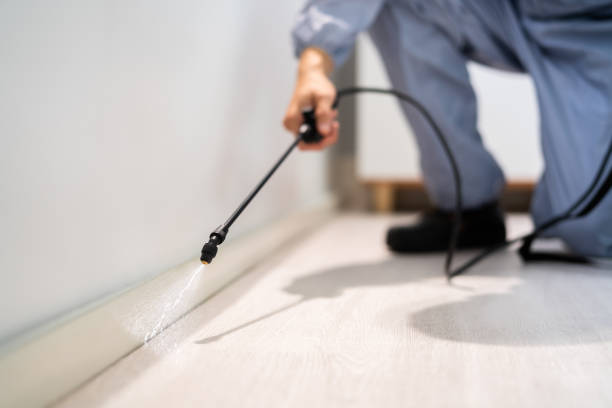 Professional exterminator conducting IPM assessment in Kentfield